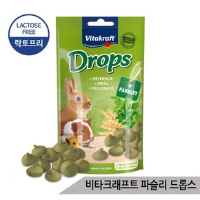 비타크래프트 파슬리 드롭스 토끼 햄스터 간식 75g