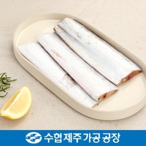 [제주수협] 제주 은갈치 세트 1호 220gx4팩 / 은갈치 880g(220gx4팩)_국내산_냉동비축품