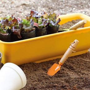 담따 대형 텃밭 화분 옐로우 . 거실 집 정원 채소 꽃 예쁜 큰 사각 플라스틱