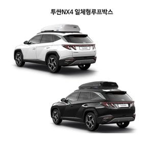 투싼 NX4 루프박스 일체형 서울 인천 경기