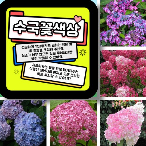 추가이미지7