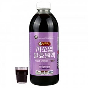 자소엽 발효 원액(1000ml 1병)