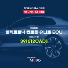 현대모비스일렉트로닉 컨트롤 유니트 ECU (391612CAD1)