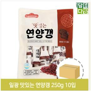 어르신 간식 팥양갱 10개 전통과자 할머니 어버이날 (S9379247)