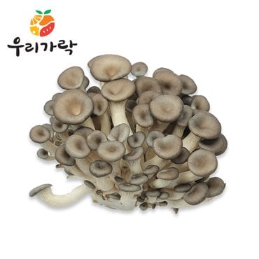 우리가락 애느타리버섯 100g