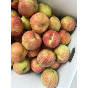 홍로사과 가정용 5kg