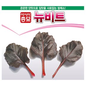 비트씨앗종자 뉴비트(3g)