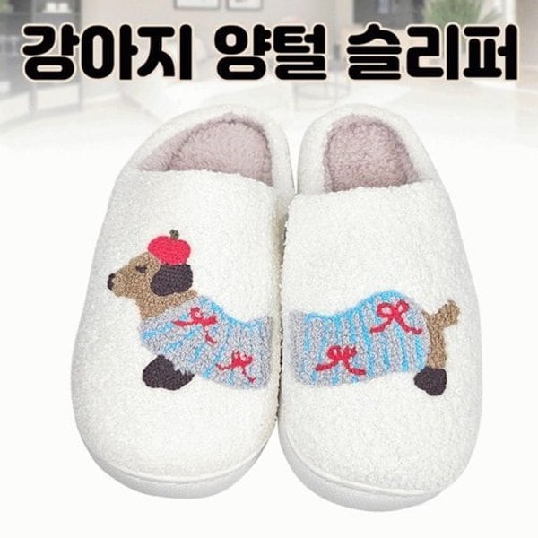 확대된 대표 image1