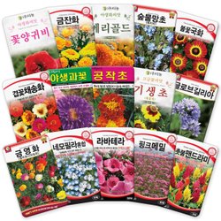 각종 꽃씨앗 야생화 300종 사계절 일년생 다년생 꽃씨 허브 종자 모음 - SSG.COM