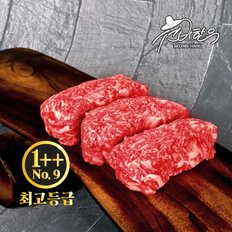 1++NO.9 최고등급 한우불고기 600g