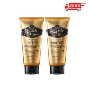 오늘출발 엘라스틴 프로폴리테라 안티에이징 헤어 트리트먼트 300ml 2개