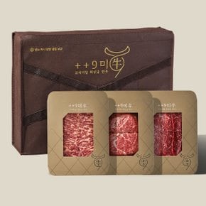 [1/15 순차출고]1++ No9등급 투뿔 한우 혼합 2호 선물세트 800g (채끝200g/국거리300g/불고기300g)