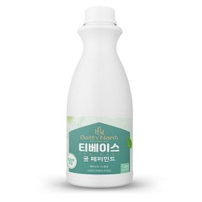 메가커피 베티나르디 티베이스 쿨 페퍼민트 1.2kg 1박스 6개