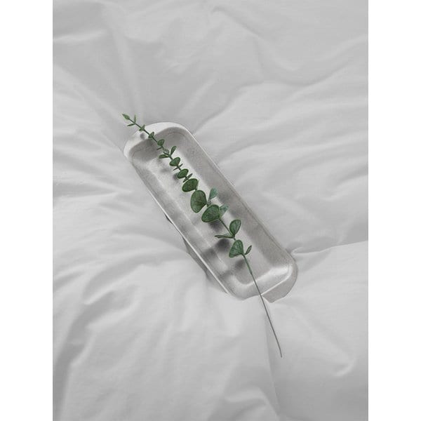 유칼립투스 (Eucalyptus) 조화