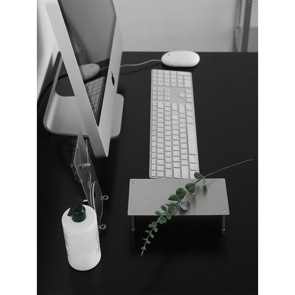 유칼립투스 (Eucalyptus) 조화