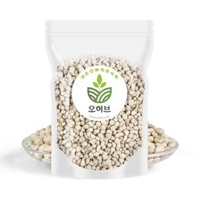 모링가 씨앗 모링가씨 250g