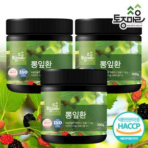 HACCP인증 국산 뽕잎환 300g X 3개