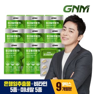 GNM자연의품격 징코빌로바11 9박스 / 은행잎추출물 비타민B 아연 판토텐산