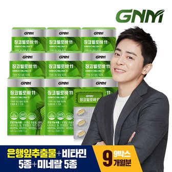 GNM자연의품격 [9/12(목) 14시 주문마감]징코빌로바11 9박스 / 은행잎추출물 비타민B 아연 판토텐산