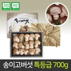 [산지직송] 송이고버섯 특등급 선물세트 700g 당일수확 (보자기)