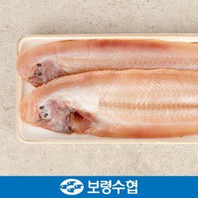 [명절 후 배송][보령수협] 반건조 박대 선물세트 1.8kg / 박대 2미(300g)x6+부직포가방