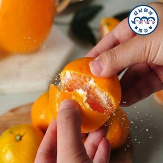  [삼남매네] 제주도 산지직송 노지감귤 랜덤과 S-2L 3kg