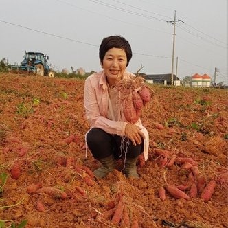  꿀밤 고구마 3kg 못난이