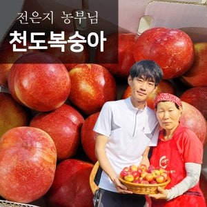 참다올 7월초출고! 산지직송 경산 천도복숭아 5kg(35과내) 2번