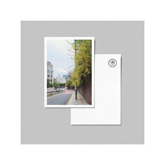 프레젠트엣 시그니처 엽서_담장 위 개나리