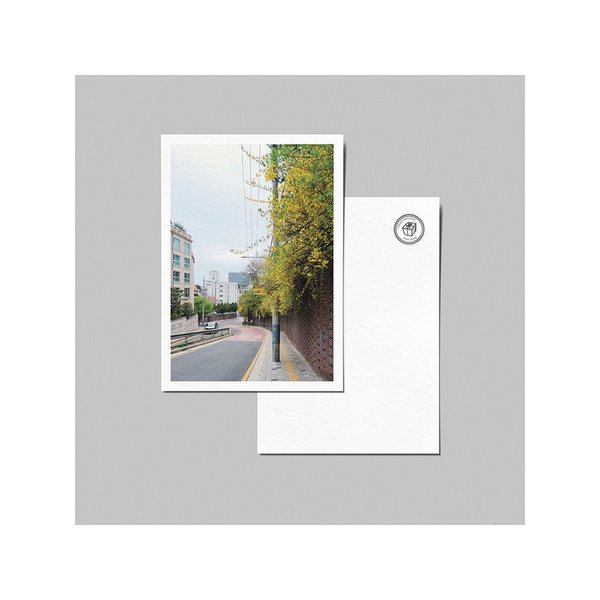 시그니처 엽서_담장 위 개나리