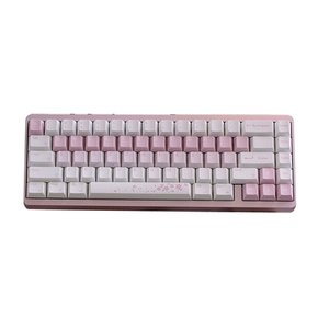 【해외직구】  바밀로 뮤즈65% Varmilo Muse65% 마그네틱 게임밍키보드 관부가세 포함