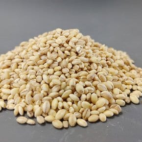 2021년 햇곡 국내산 찰보리쌀 햇찰보리쌀 찹쌀보리 국산찰보리 햇보리 찰보리1kg