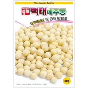 콩씨앗종자 백태콩-메주콩(50g)