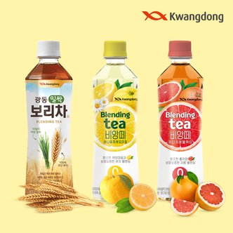 광동제약 광동 아이스웨일 탄산수 플레인 / 자몽 / 샤인머스켓 / 레몬라임 4가지 맛