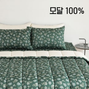 [~10/13까지 대구점 할인!!]소프트 모달 이불세트 - 15 Lace flower : green