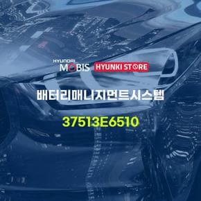 배터리매니지먼트시스템 (37513E6510) 현대모비스부품몰