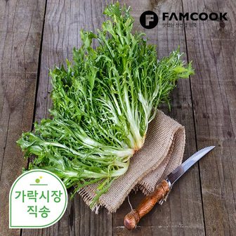 팸쿡 가락시장직송 치커리 1.8-2kg