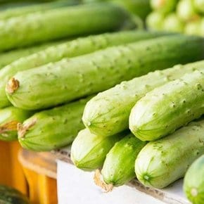 Fresh 백다다기 오이 오이샐러드 소박이김치 피클 50개 상품