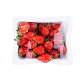  홍희딸기 1kg (특대)