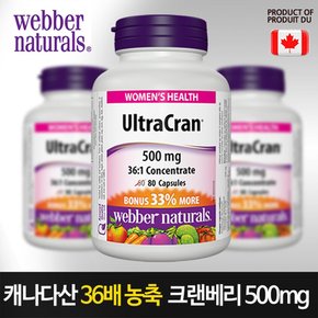 36배 농축 캐나다 크랜베리 80캡슐/캐나다 직발송