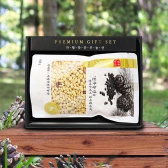 친환경팔도 [산지직송] 가평 햇 잣 선물세트(황잣/백잣) 500g