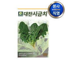 대찬 시금치 씨앗 20g . 채소 야채 텃밭 파종 재배 주말 농장 씨 종자