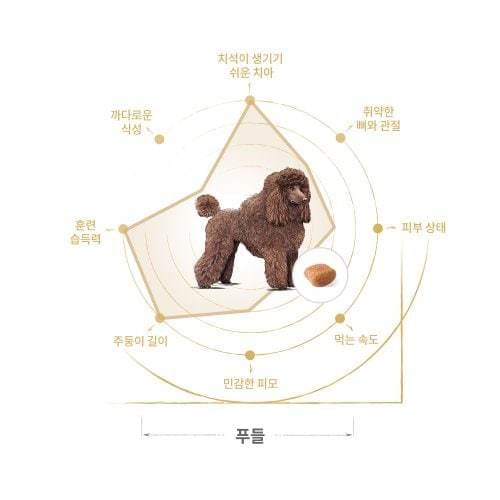 추가이미지