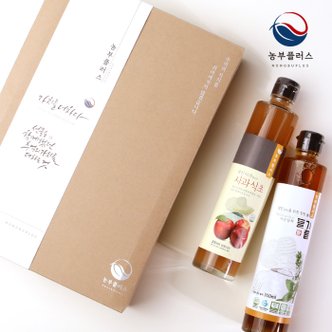 경북고향장터 사이소 국산 저온압착 들기름 사과식초 300ml 2병 선물세트 [ 농부플러스 ]