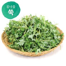 명가일품 [남도의맛] 전라도 봄나물 쑥 1kg