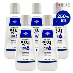 잇치 가글 250ml 5개 잇몸건강 치은염 충치 예방 구취 프라그제거 인공색소 무첨가