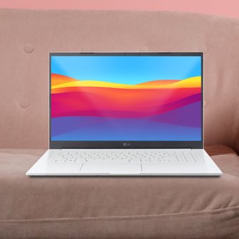 LG 전자 2023 울트라PC 15UD40R-GX56K - 램 32GB / NVMe 512GB / 윈11 홈