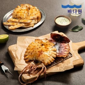 국내산 촉촉한 피데기 반건조 오징어 10미 (1.2kg)