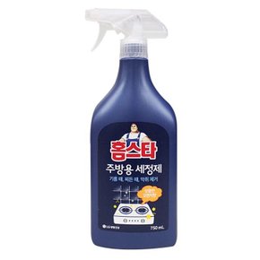 홈스타 주방 세정제 싱크대 세척 기름때 청소 750ml