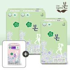 오씨본 대형 24P, 3팩+라이너 1팩